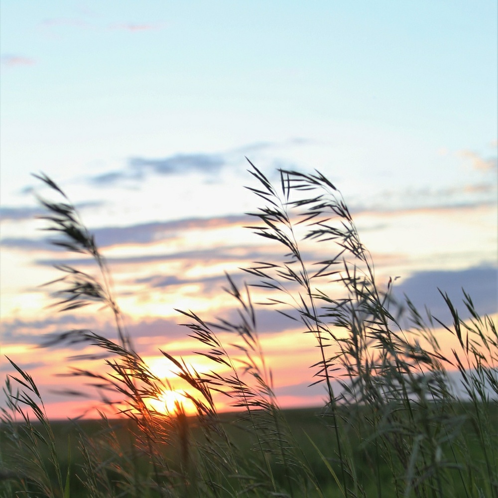 Meet your Posher, Shelly